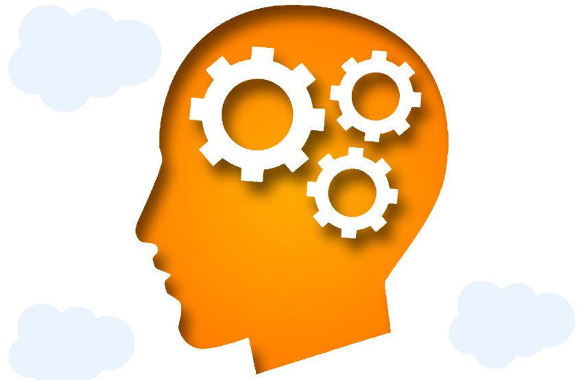 Knowledge-And-Experience Knowledge-And-Experience