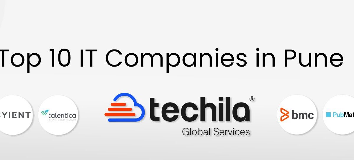 it-companie-pune