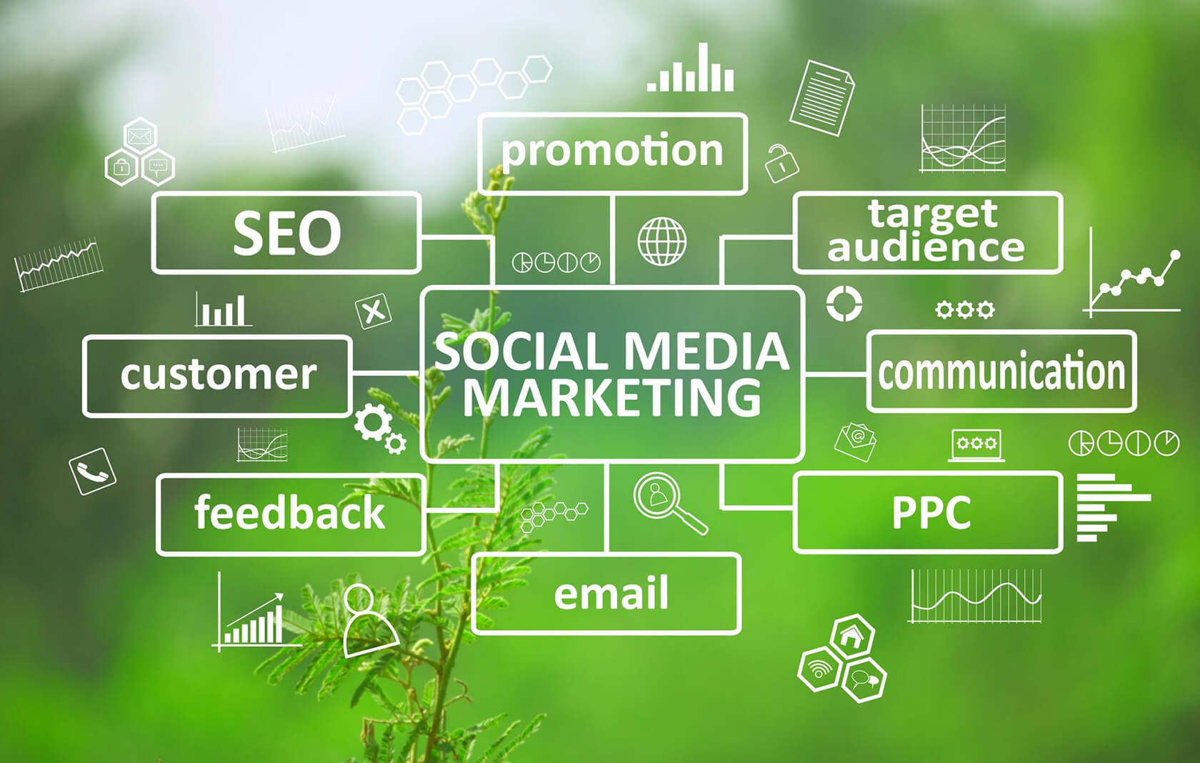 The-Relevance-of-Organic-Social-Media-Marketing The-Relevance-of-Organic-Social-Media-Marketing