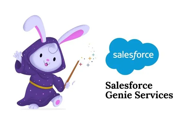 Genie Services