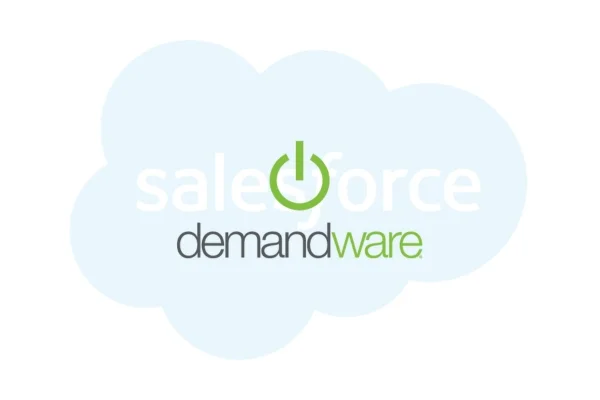 How Does Salesforce Demandware Work