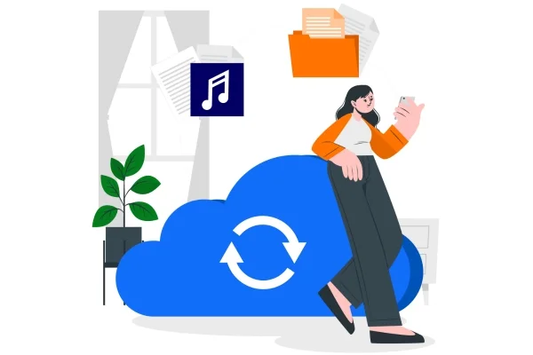 Bi-Directional Data Transfer Bi-Directional Data Transfer