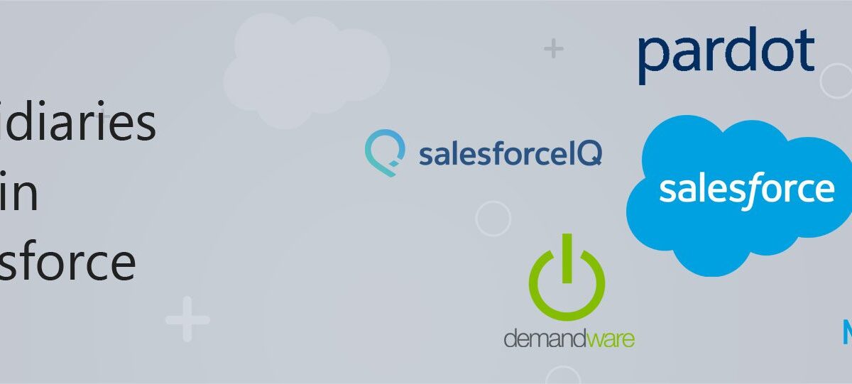 Subsidiaries-in-Salesforce