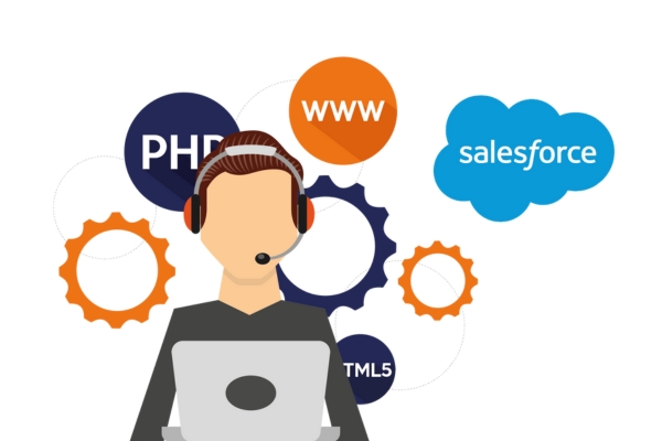 Decades Of Expertise In The Domain Of Salesforce