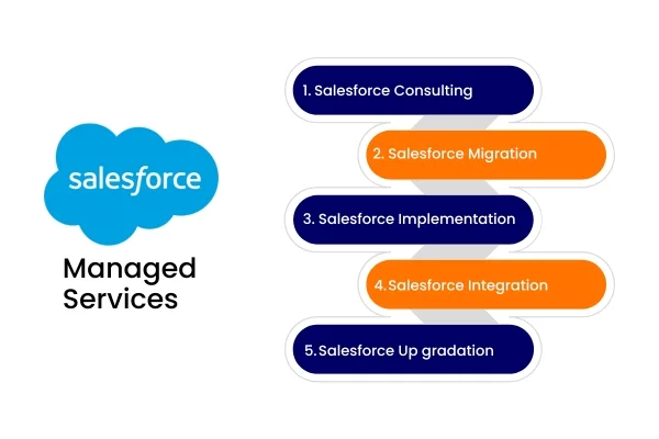 What Is Salesforce Managed Services